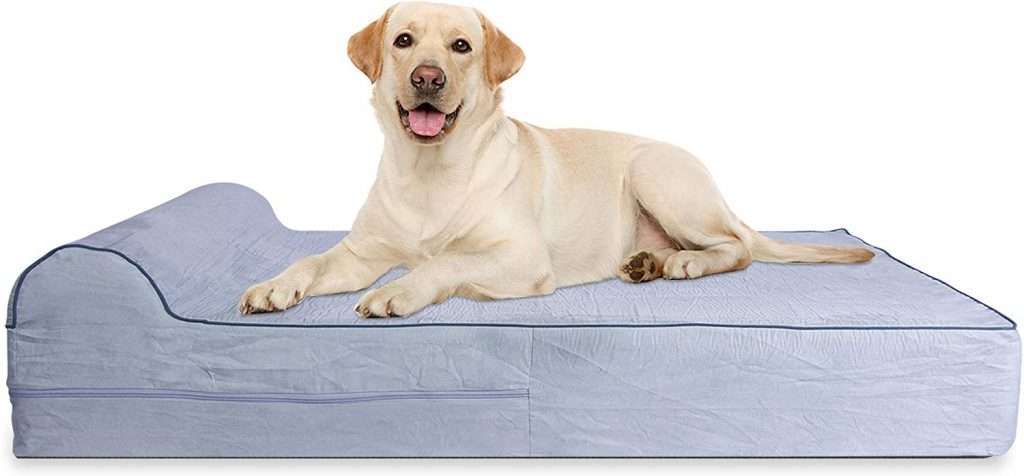 lit pour chien