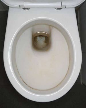 Comment nettoyer le fond noir des toilettes